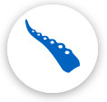 タコキンのブログ